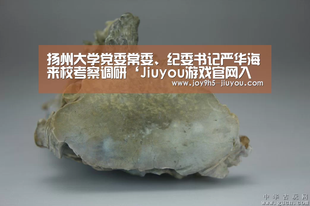 九游体育