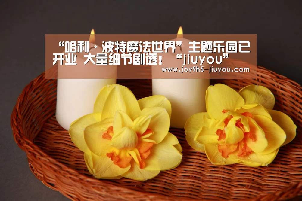 “哈利·波特魔法世界”主题乐园已开业 大量细节剧透！“jiuyou”(图2)