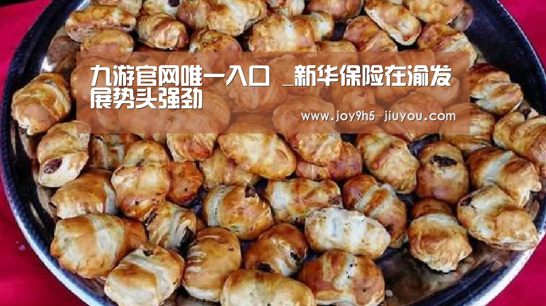 九游官网唯一入口 